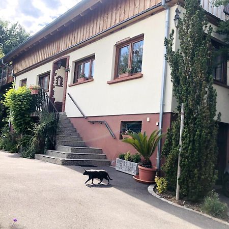 Gite de Léa Bischwiller Esterno foto