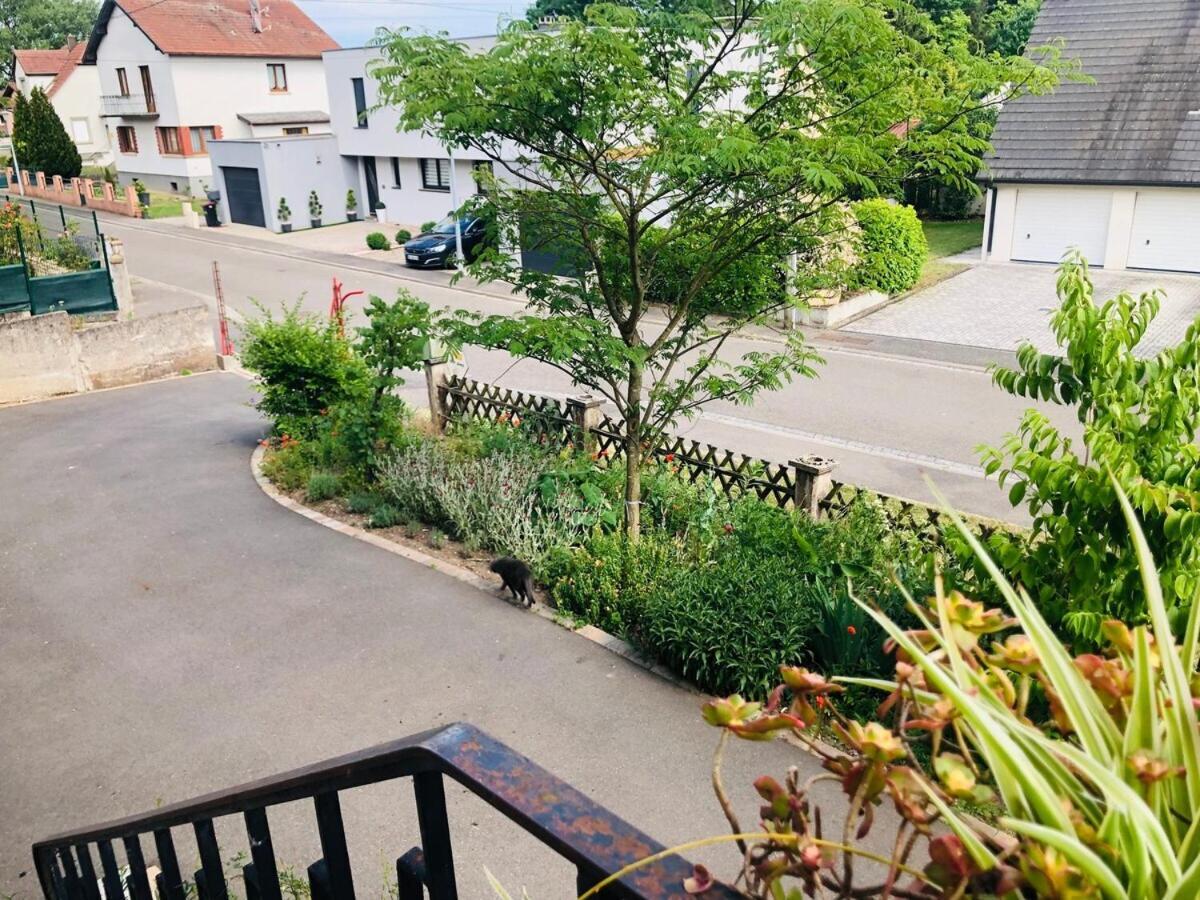 Gite de Léa Bischwiller Esterno foto