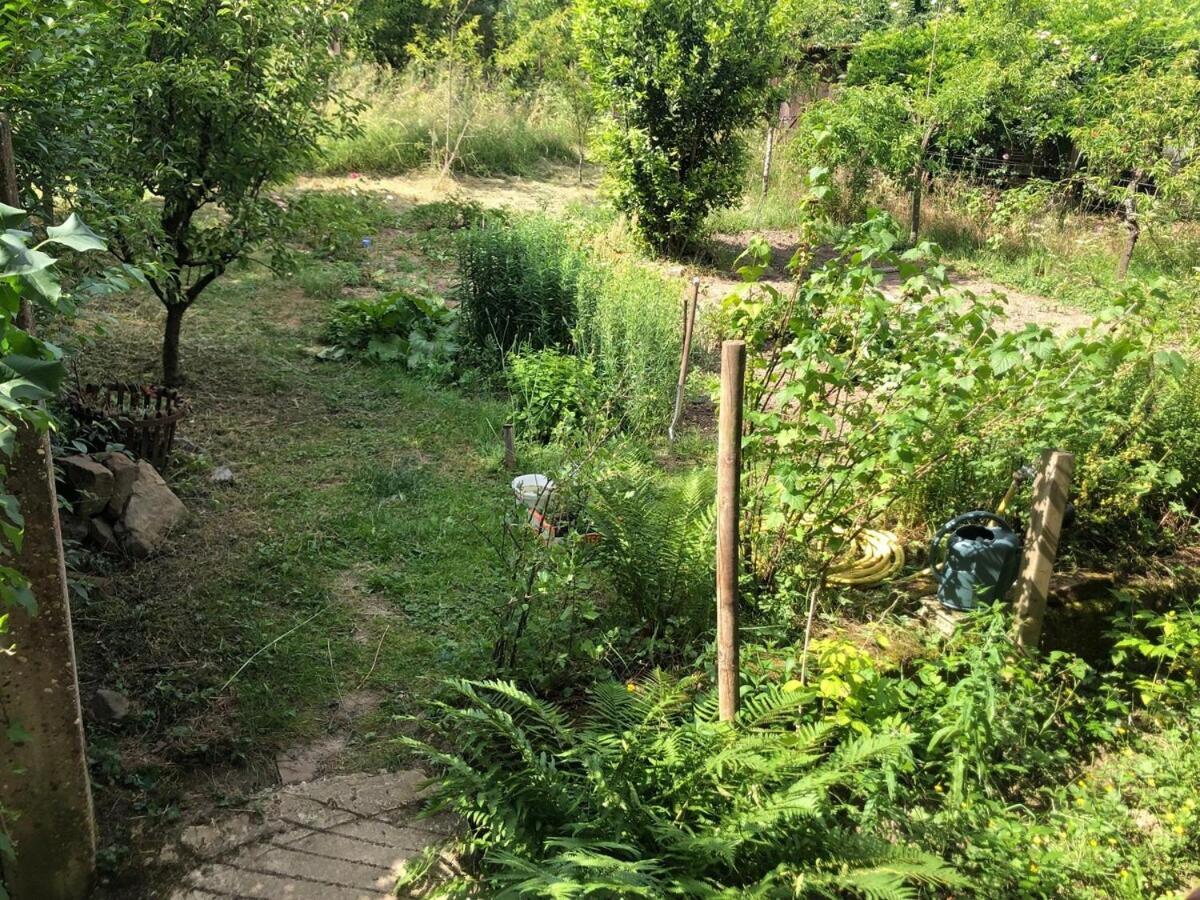Gite de Léa Bischwiller Esterno foto